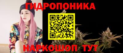 стафф Кинель