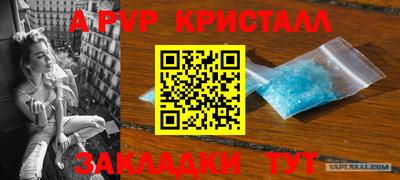 стафф Кинель