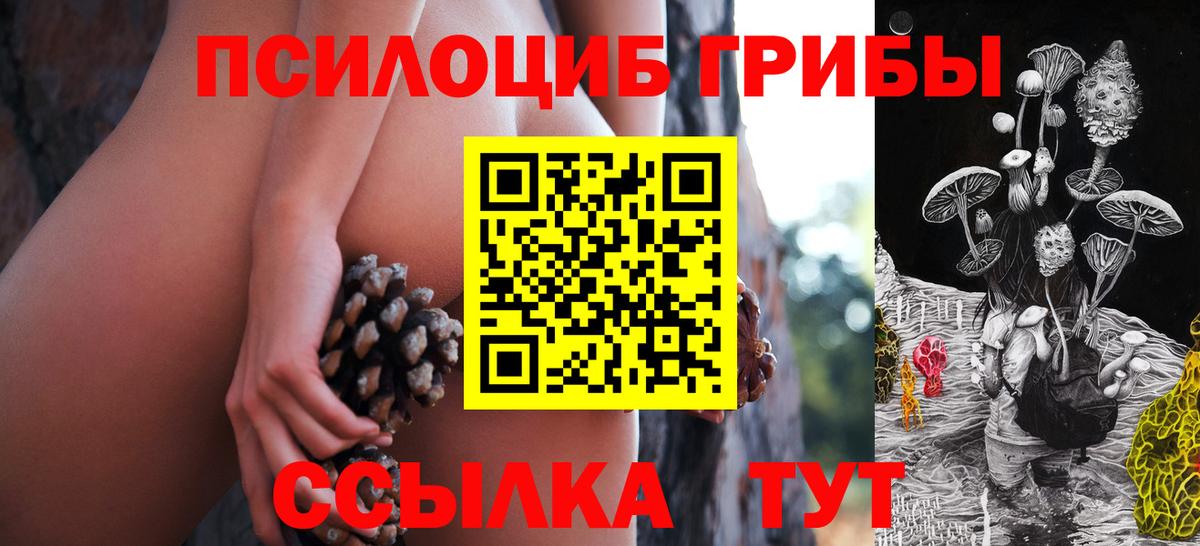 Псилоцибиновые грибы Psilocybe  Вход с VPN  Красный Сулин 