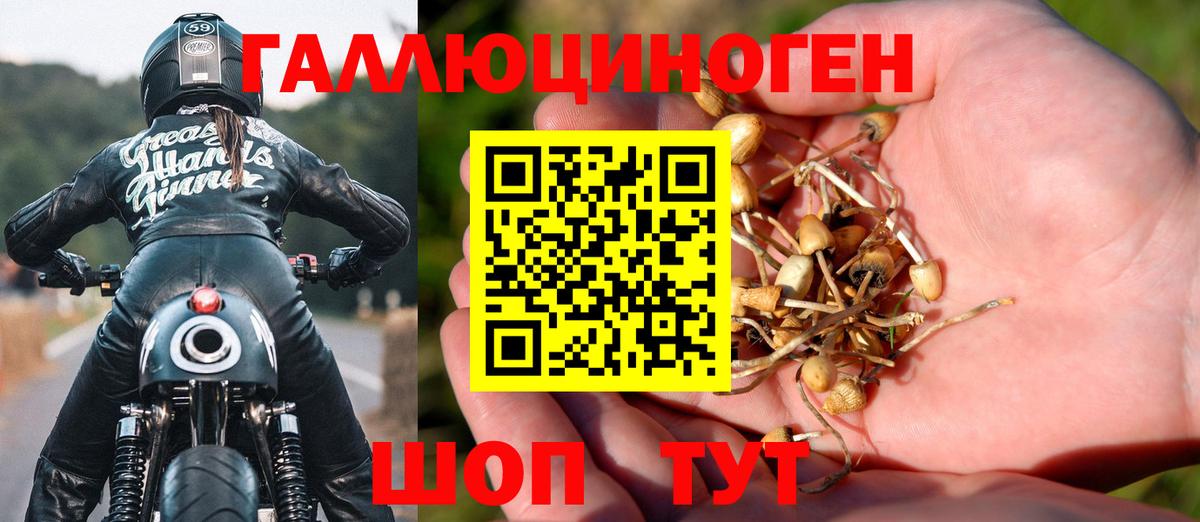 Галлюциногенные грибы ЛСД Красный Сулин